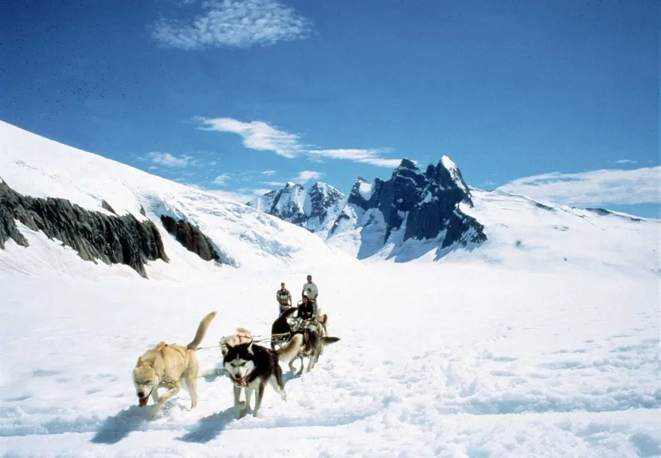 Helicopter and Mendenhall glacier dog mushing